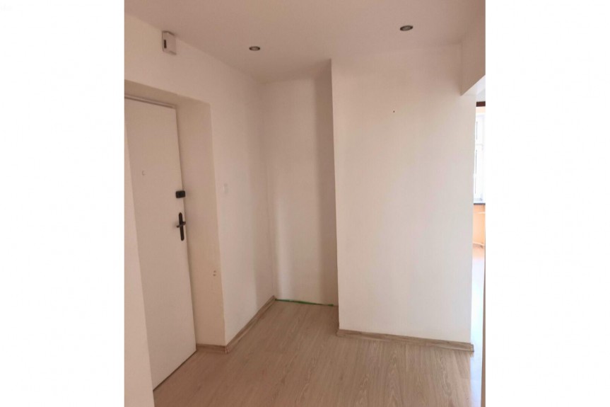 kutnowski, Kutno, al. kard. Wyszyńskiego, Wynajem | Lokal mieszkalny | Kutno