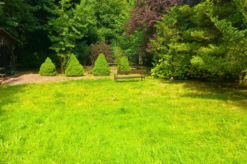 puławski, Nałęcz&oacute;w, Lipowa, Specjalna | Turystyczna | Nałęcz&oacute;w